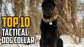 Top 10 Best Tactical Dog Collars in 2024