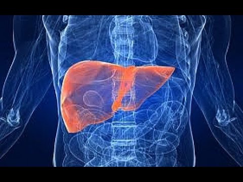 home-remedies-for-fatty-liver-disease-|-fatty-liver-disease-symptoms