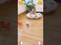 Funny Baby Videos Top Baby Videos Cute Baby Videos Cute Funny Baby Videos Top Baby Videos Cute Baby Videos Cute