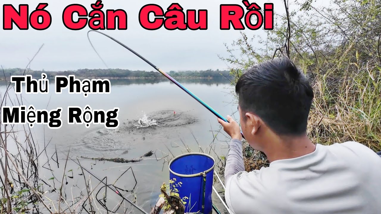 Câu 1 Loài Cá Miệng Rộng Vừa Thả Mồi Xuống Nó Đớp Ngây Cực Mồi Đầu Tiên hải vlog #haivlog