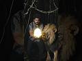 Me and My Lion Found a Golden🥚EGG#viral#shorts##GoldenEgg#JungleAdventure#MagicalStory#youtubeshorts