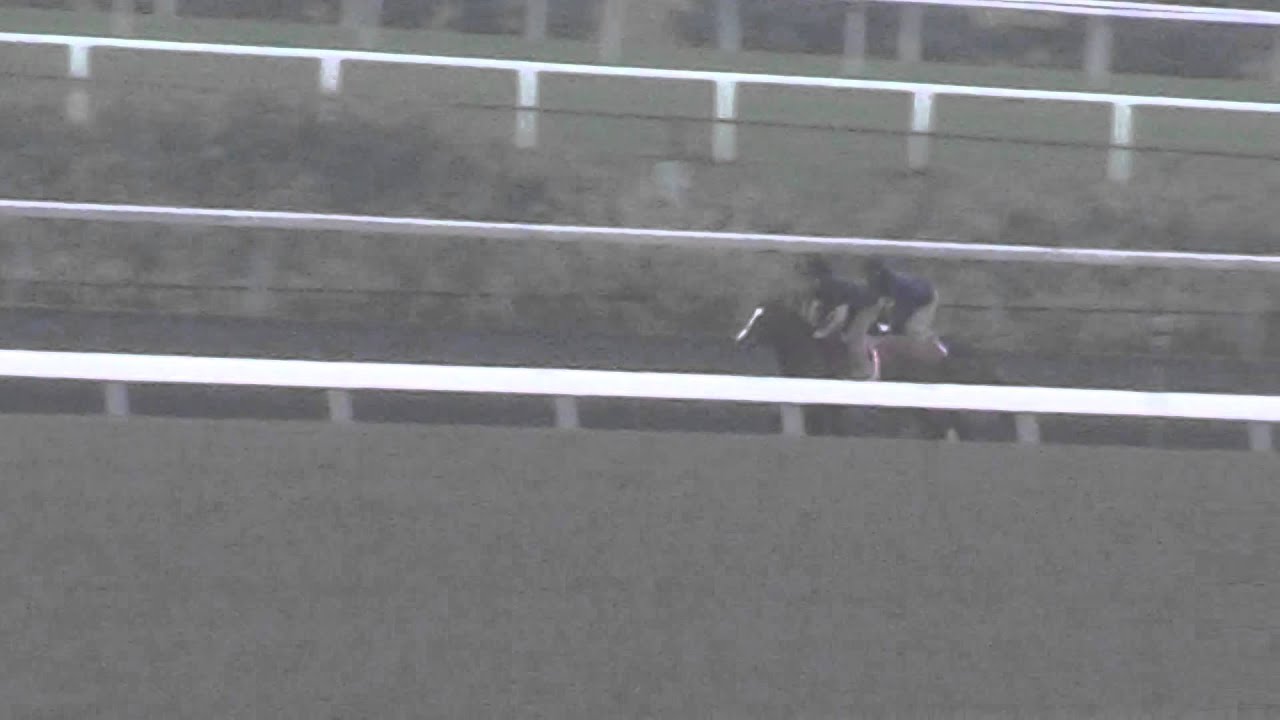 Divine Intrigue and Conquest Playmisty (OS)