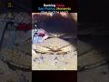 Ranking Deep Sea Fishing Moments Pt.14 | #deepseafishing
