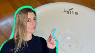 Make Your Life Easier with the iPettie Automatic Cat Feeder screenshot 3