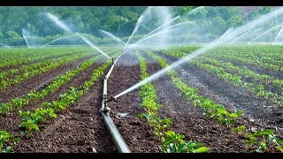 AGRIBUSINESS FINANCING: Banks grow confident with lending farmers