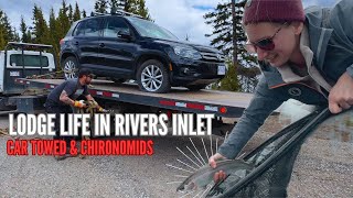 Car Towed and Chironomids