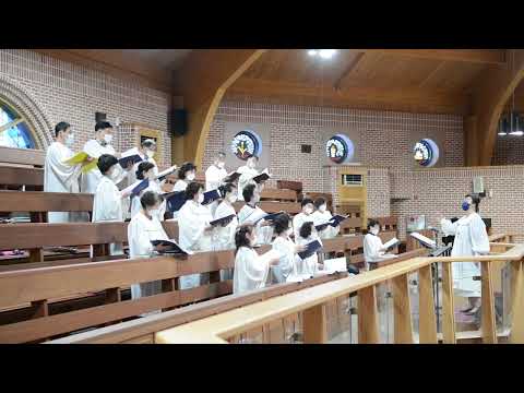 성삼위께 영광을 (2022.6.12 성체 특송) [이문동성당 칼리체성가대]