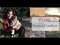 #1 VLOG: Осень в Стамбуле, Мачка парк, Light Festival