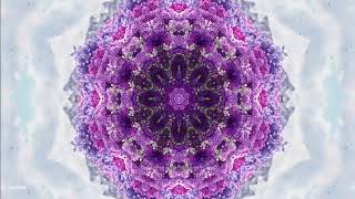 Worlds Within Worlds | Hypnotic Purple Fractals & Celestial Soundscape