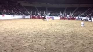 Sandi Brandli & Stones Miracle Cosmo St.paul, Mn