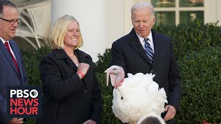 A history of how lucky turkeys came to earn presidential pardons