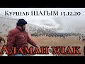 карышкырды Марат УТТУ 😱 АЛАМАН КУРШАБ ШАГЫМ  13.12.20