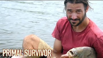 Catching a HUGE Piranha relative | Primal Survivor.