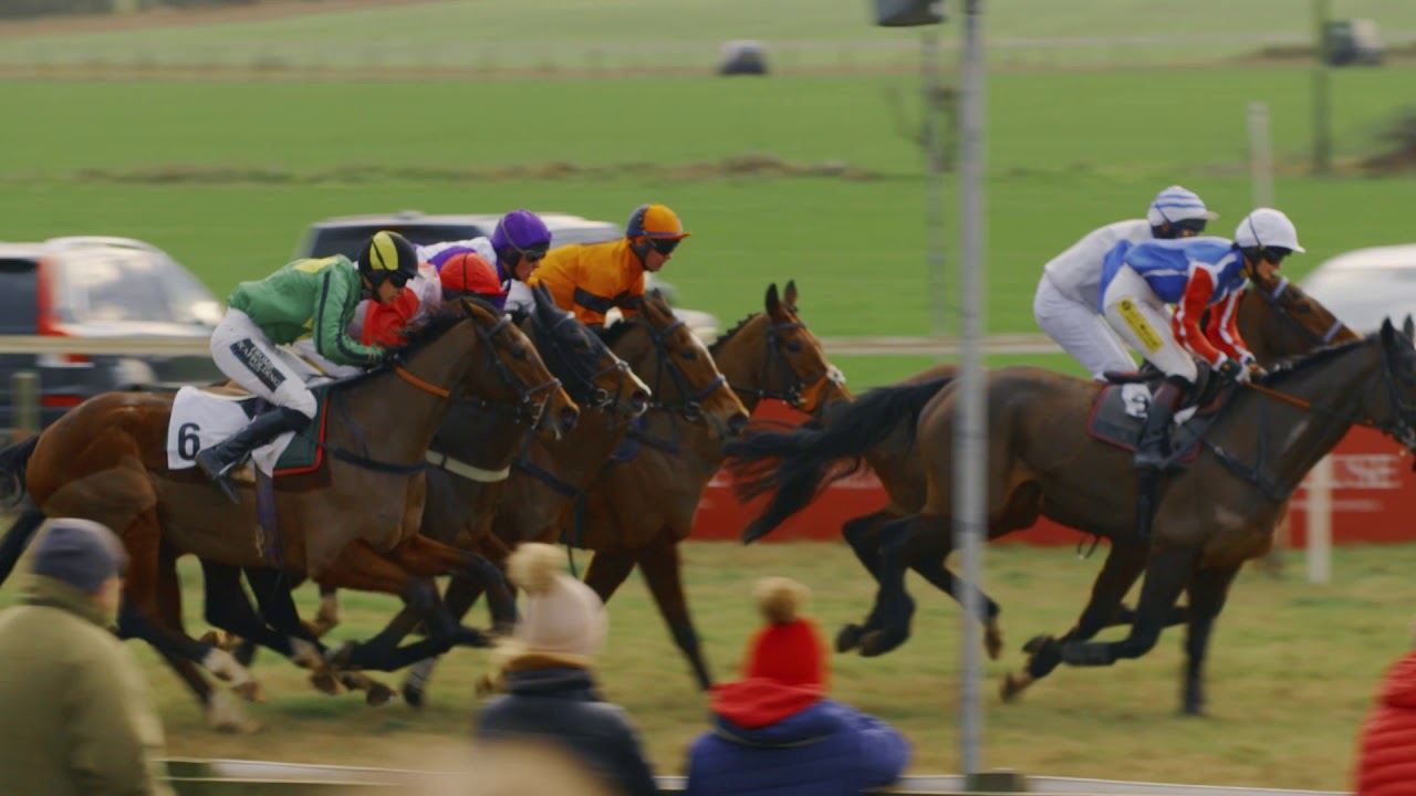 Point to Point -  Betting and Racing