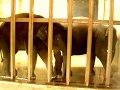 結希・りり香 お部屋の様子