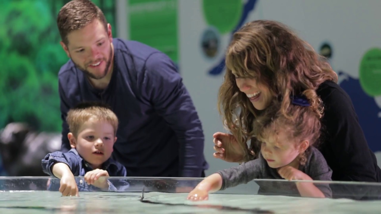 Feel Connected with Interactive Touchpools at Great Lakes Aquarium