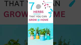 Herbs you can grow @ home motivationalsong garden vegetables hydroponics herbs fruits  plants