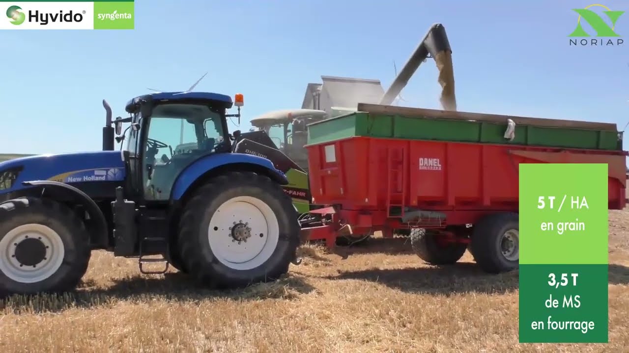 Orges hybrides Syngenta Semences Option 3 en 1 animation cobrandée Noriap Syngenta