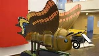 INSANE CASKETS & COFFINS (PART #2)