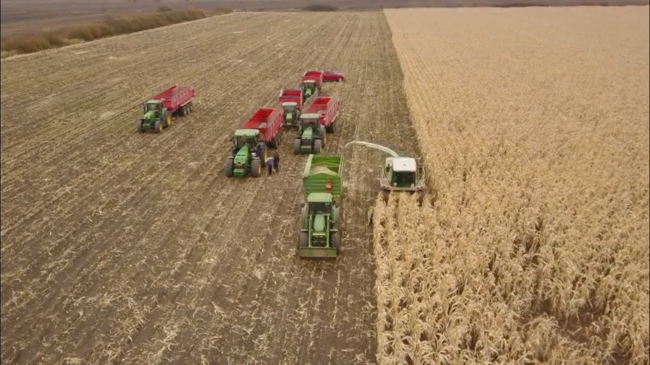 Facem siloz din 🌽🌽🌽