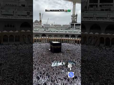 25 May 2026