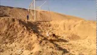 double swing gainer
