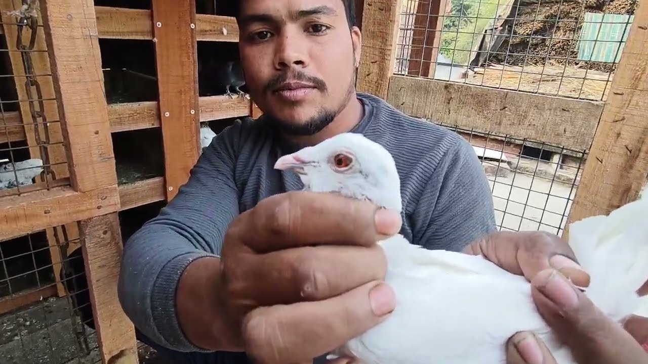 দিলদার ভাই এর বাড়ির ভিডিও দেখুন 🕊️🧿🧿