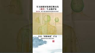 Explore the Rich Heritage of Chongqing: Liu's Intangible Cultural Treasure