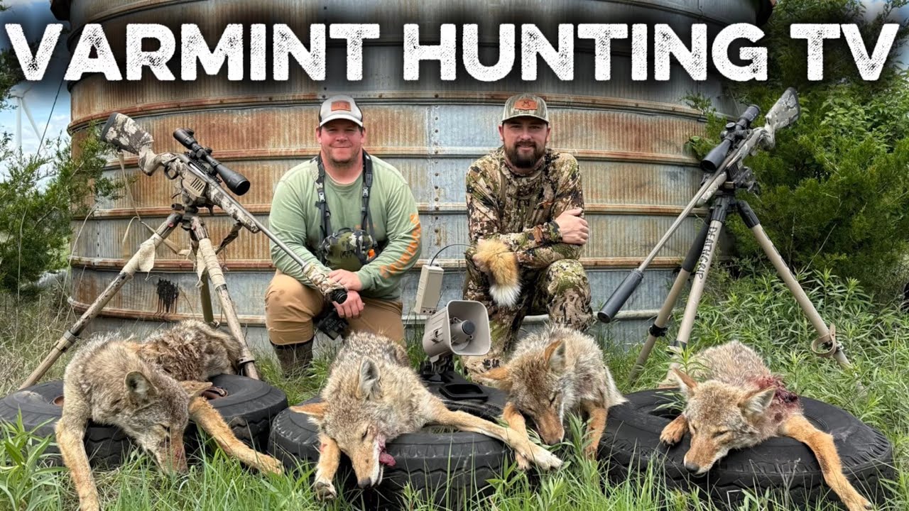 Hot and Heavy Pup Season Calling - Coyote Hunting