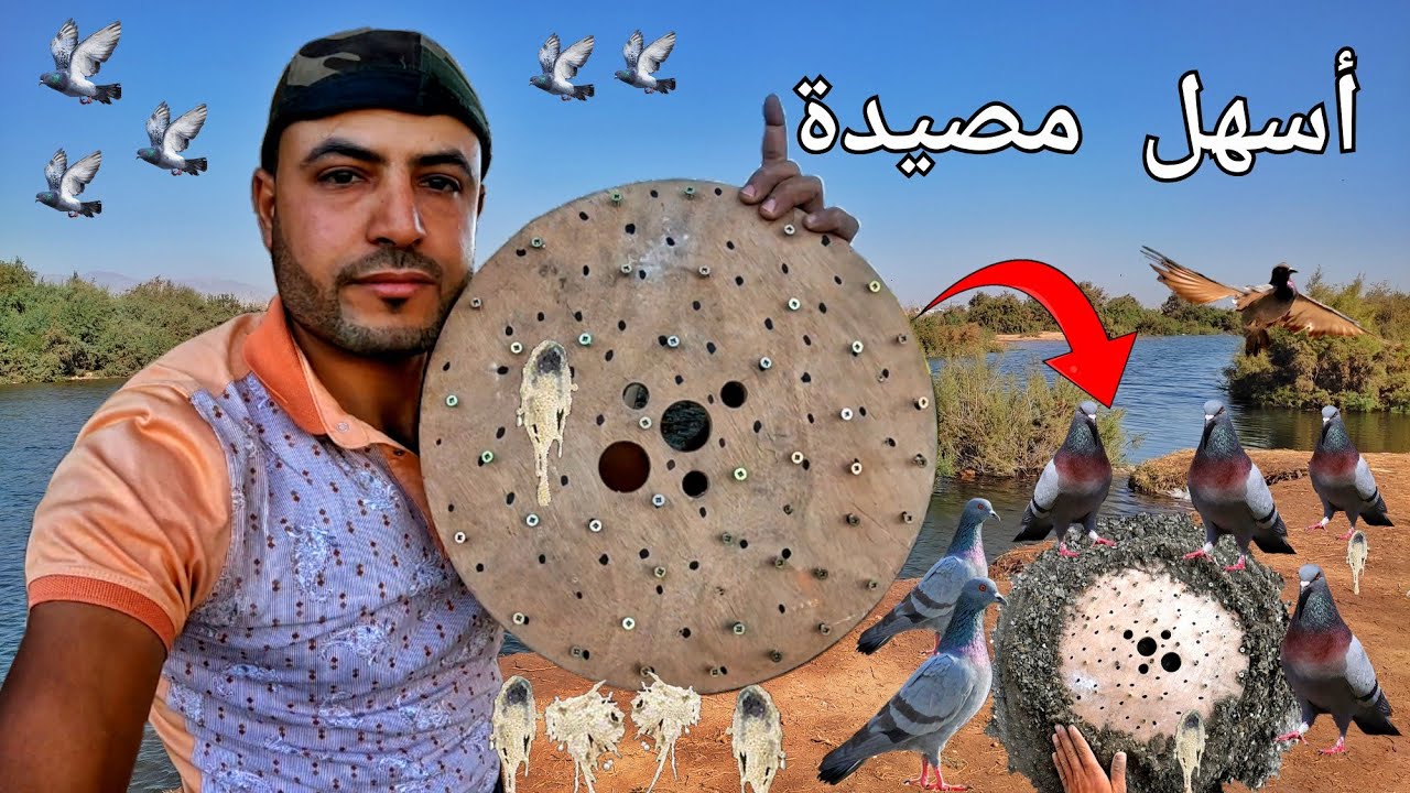 طريقة صنع أفضل وأرخص وأسهل مصيدة لصيد الحمام البري 👌🕊️