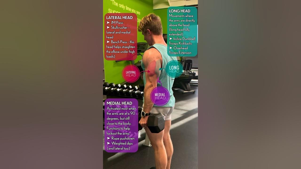 JM Press for Bigger & Stronger Triceps (+ posing) Built By Bacon