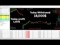 How I Made $250 to $135,940 Profit in AI Robot Trading Forex | Best smart AI Bot 2025 | #trader #ai