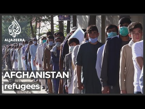 Vidéo: Quelqu'un Doit être Les Talibans