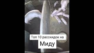 #Мем#Мемы#Тикток