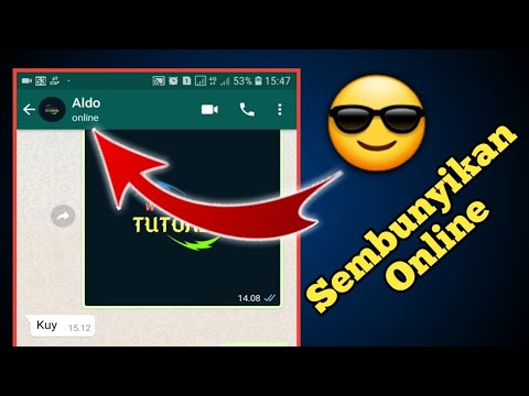 the-latest-way-to-hide-online-signs-on-whatsapp-2020