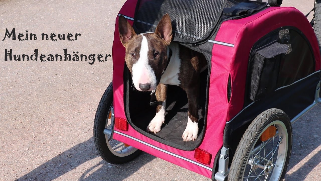 Wir stellen unseren neuen Fahrrad-Anhnger ( Hundeanhnger ) von Trixie vor.