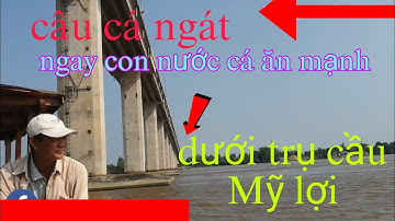 câu cá ngát dưới trụ cầu Mỹ lợi ngay con nước cá ăn mạnh@CuongFising