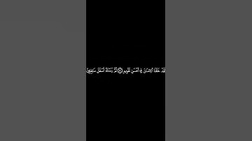 سورة التين برواية ورش عن نافع | الشيخ محمد أفندي #القرآن_الكريم #اكسبلور
