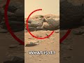 Mars Rover Perseverance Sol 150 Image ๐ธ
