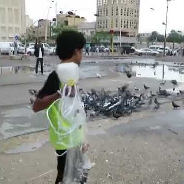 طريقة صيد الحمام بالميادين العامة