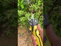 electric scissors easy use save time #tool P7427