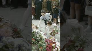 The British Army in Original Color — 1942–1945 · Part 6