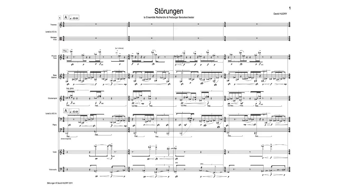 David Hudry : « Störungen » (2011) - Extrait n° 1