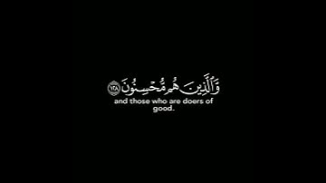 قران كريم شاشة سوداء ماهر المعيقلي