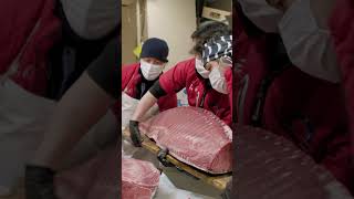 This 600-pound bluefin #tuna, known as the "king of sushi," can sell for up to $3 million. #fish