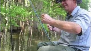 Testing the Shell-cracker Bite in Santee