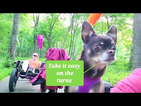 Fat Tad Recumbent Trike Touring Red Cedar State Trail Wisconsin & Hastings Minnesota  Trail