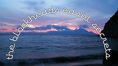 the blockheads | easel secrets | how to get the perfect color ♡