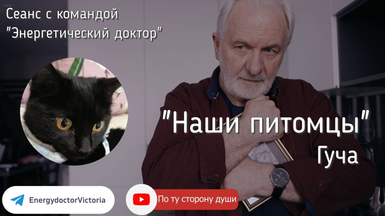 ОНКОЛОГИЯ у кошки, общение с Душой после выхода из тела 🤍 - YouTube