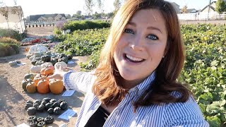 Pumpkin & Squash Harvest (& How To Tell When They’re Ready to Pick)!!! 🎃🙌🧡 // Garden Answer